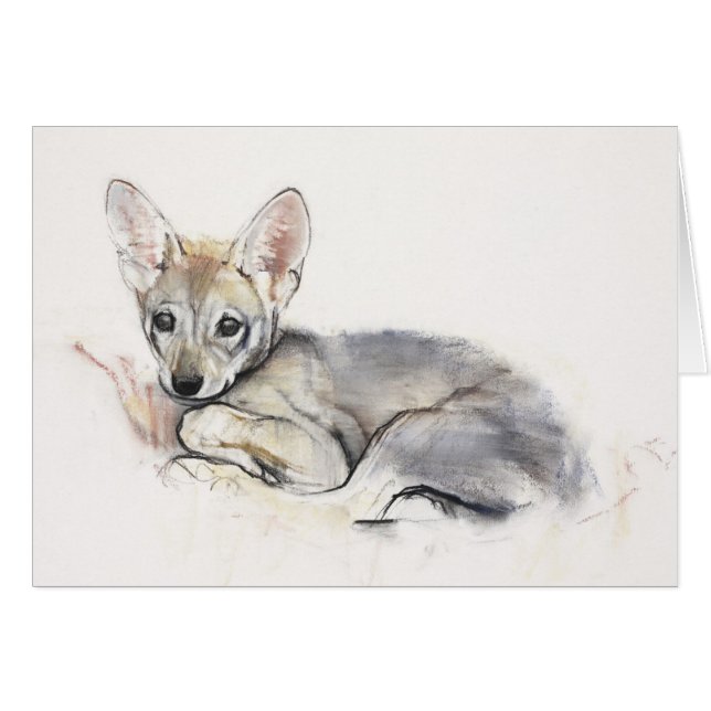 gebogen Arabische Wolf Pup 2009 (Voorkant Horizontaal)