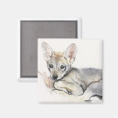 gebogen Arabische Wolf Pup 2009 Magneet (Voorkant / Achterkant)