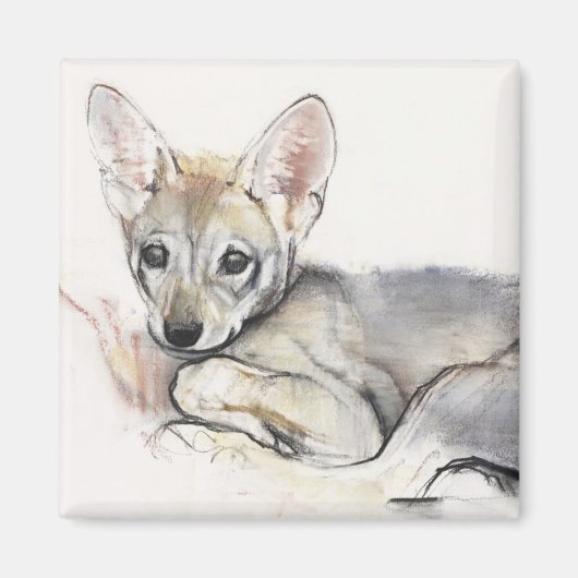 gebogen Arabische Wolf Pup 2009 Magneet (Voorkant)