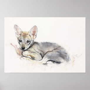 gebogen Arabische Wolf Pup 2009 Poster