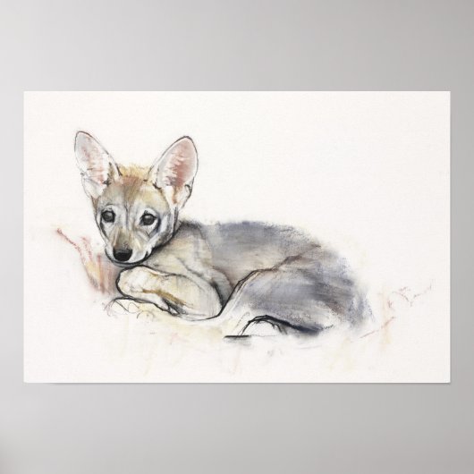 gebogen Arabische Wolf Pup 2009 Poster (Voorkant)