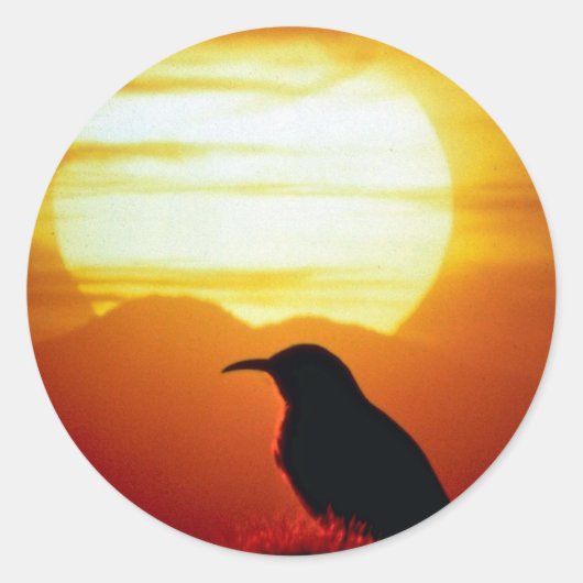 Gebogen Bill thrasher op saguaro, Sonoran Desert, Ronde Sticker (Voorkant)