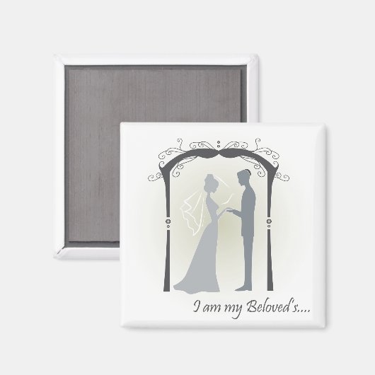 gebogen magneet (Voorkant / Achterkant)