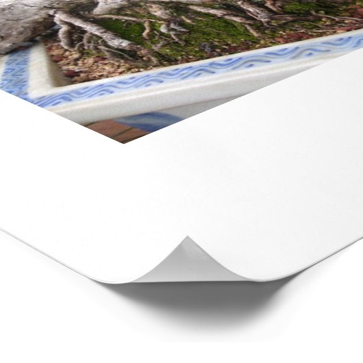 gebogen poster (Hoek)