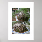 gebogen poster (Voorkant)