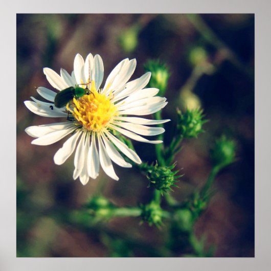 gebogen poster (Voorkant)