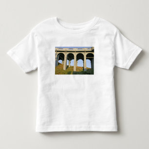 Gebogen steunen Patterson Memorial Bridge Kinder Shirts