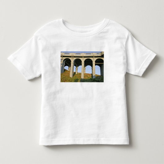 Gebogen steunen Patterson Memorial Bridge Kinder Shirts (Voorkant)