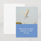 Geboorte aankondiging met Flying Stork. (Voorkant / Achterkant)