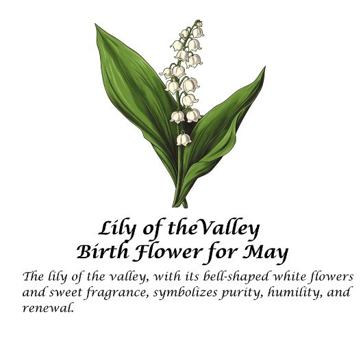 Geboorte Bloem Maand May Lilly van de Vallei Naam Thermosbeker