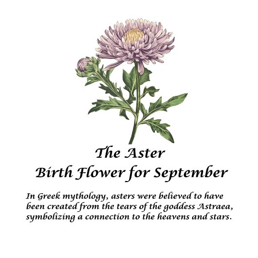 Geboorte Bloem Maand September Aster Gepersonalise Thermosbeker