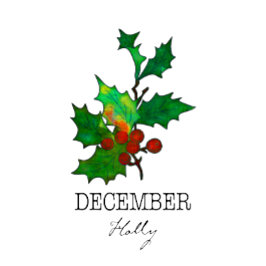 Geboorte Maand Bloem December Holly T-shirt