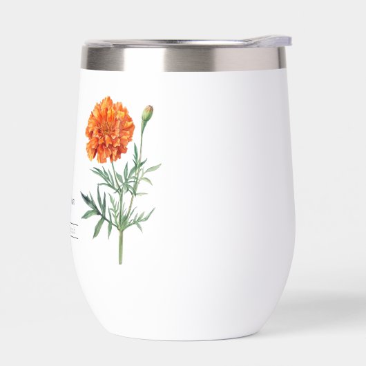 Geboorte Maand Bloem Oktober goudsbloem (Links)