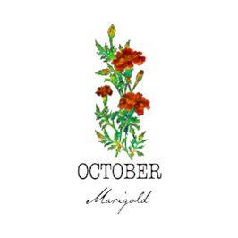 Geboorte Maand Bloem Oktober goudsbloem Kussen