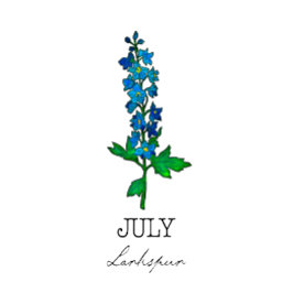 Geboorte Maand Juli Larkspur Bloem T-shirt