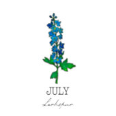Geboorte Maand Juli Larkspur Bloem T-shirt