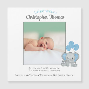 Geboorte Statistieken Jongen Blauwe Olifant Baby A