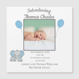 Geboorte Statistieken Jongen Blauwe Olifant Baby A