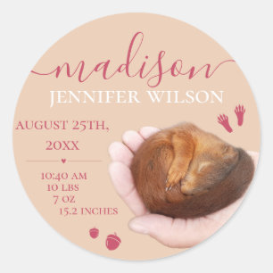 Geboorte van baby meisje gift geboorte stats pasge ronde sticker