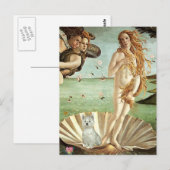 Geboorte van Venus - Westie (S) Briefkaart (Voorkant / Achterkant)