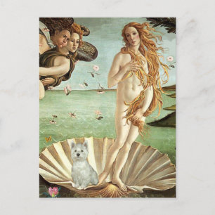 Geboorte van Venus - Westie (S) Briefkaart