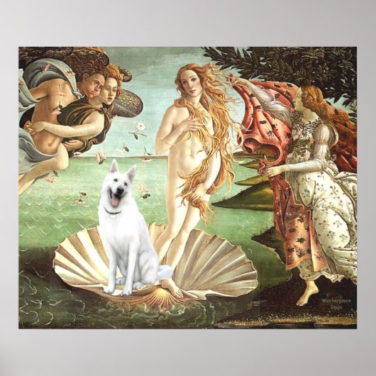 Geboorte van Venus-Witte Duitse Herder Poster (Voorkant)