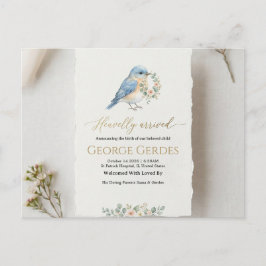 Geboorteaankondiging ansichtkaart aankondigingskaart