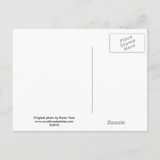 Geboorteaankondiging met  baby booties aankondigingskaart (Achterkant)