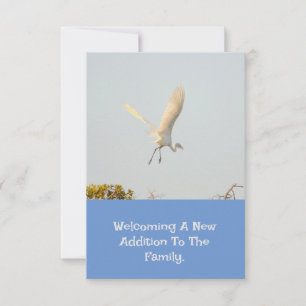 Geboorteaankondiging met vliegende ooievaar. RSVP kaartje