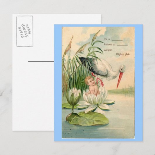  Geboorteaankondiging-Stork, Lily Pad, Baby Aankondigingskaart (Voorkant / Achterkant)