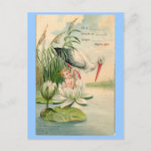  Geboorteaankondiging-Stork, Lily Pad, Baby Aankondigingskaart (Voorkant)