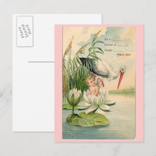  Geboorteaankondiging-Stork, Lily Pad, Baby Aankondigingskaart (Voorkant / Achterkant)