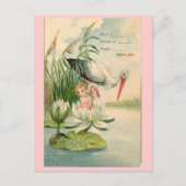Geboorteaankondiging-Stork, Lily Pad, Baby Aankondigingskaart (Voorkant)