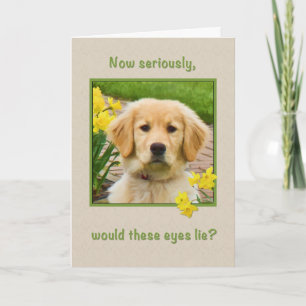 Geboortedag, Golden Retriever Dog, Daffodils Kaart