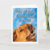 Geboortedag uit de Dog Golden Retriever Kaart (Voorkant)