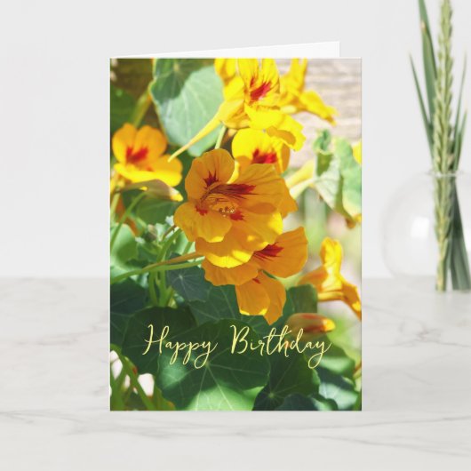 geboortedag van Nasturtium Kaart (Voorkant)