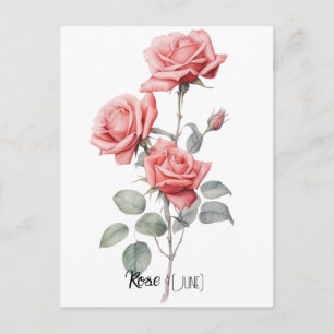 Geboortedatum Bloem Roos (juni) Briefkaart