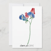 Geboortedatum Bloem Zoete erwt (april) Notitiekaartje (Voorkant)