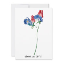 Geboortedatum Bloem Zoete erwt (april)