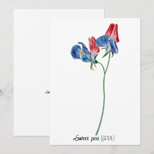 Geboortedatum Bloem Zoete erwt (april) Notitiekaartje (Voorkant / Achterkant)
