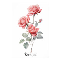 Geboortedatum Datum Bloem Roos (juni)