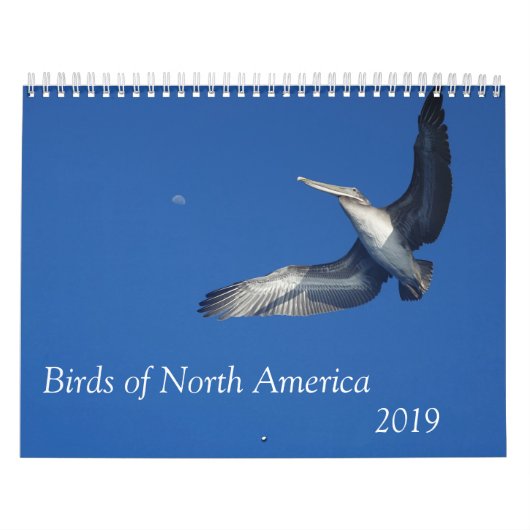 Geboortedatum: Noord-Amerika kalender 2019 (Hoes)