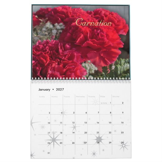 GEBOORTEMAAND 2012 KALENDERS KALENDER (Jan 2027)