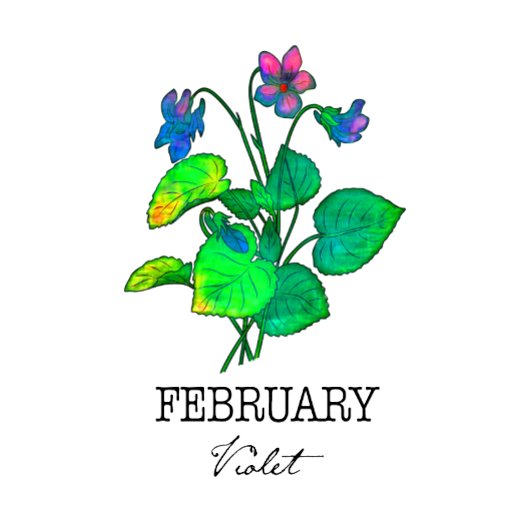 Geboortemaand Februari Violet Koffiemok