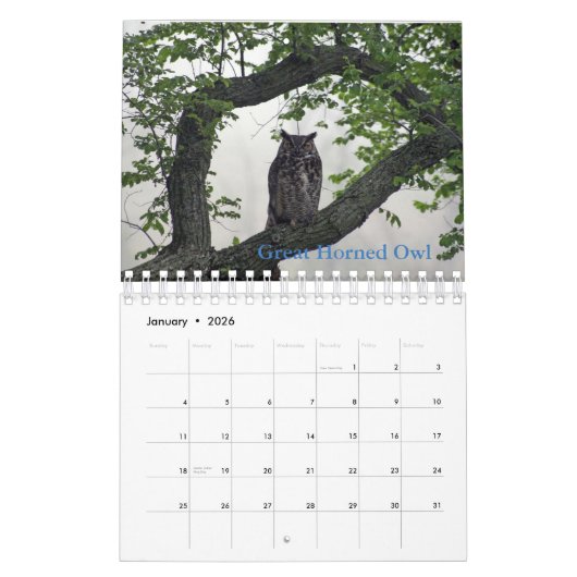 Geboortemaand Kalender (Jan 2026)