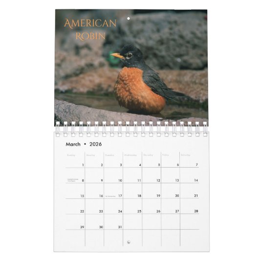 Geboortemaand Kalender (Mar 2026)