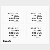 GEBOORTEPLAATS EARTH STICKER (Vel)