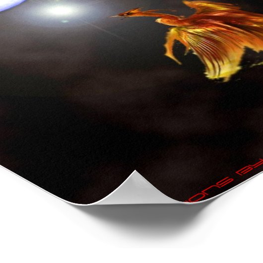 Geboorteplaats: Pheonix Poster (Hoek)