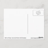 Geboorteplaats: Stars Cosmic Briefkaart (Achterkant)