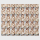 Geboorteplaats van Venus, in detail door Sandro Bo Cadeaupapier (Vlak)